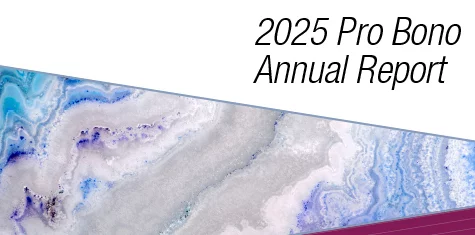 Image of a colorful agate with text 2025 Pro Bono Annual Report